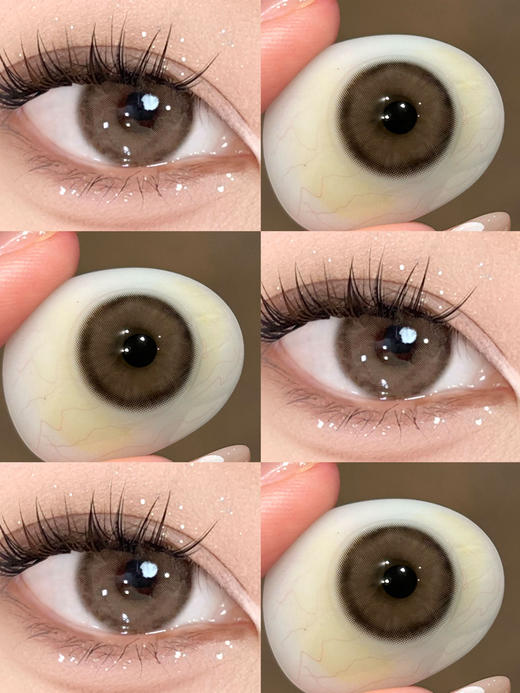 半年抛 Kirafairy 太妃奶栗 14.2 轻混血 商品图1