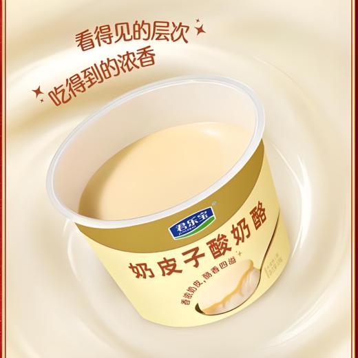 【亚欧超市】君乐宝奶皮子酸奶酪120g/杯 商品图0