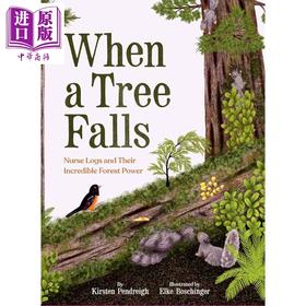 预售 【中商原版】当一棵树倒下时 When a Tree Falls 英文原版 儿童科普知识绘本 探索自然图画书读物 进口童书 精装 6岁以上