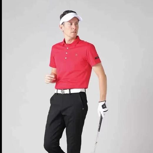 日本St ANDREWS高尔夫男装夏季吸汗速干翻领短袖T恤 商品图3