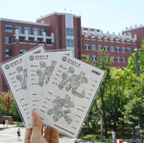 沈农活版印刷手绘字绘文创明信片