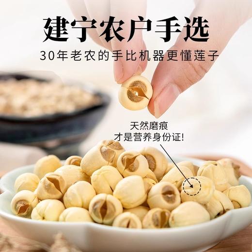 在菌屋 正宗建宁莲子250g/400g 手工去芯 颗颗饱满 肉质细腻嫩滑 久煮不散 商品图2