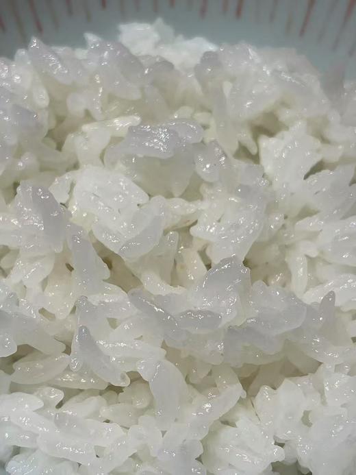 此商品仅供给拍卖网注册鱼友，不满意找我老李退全款 商品图2