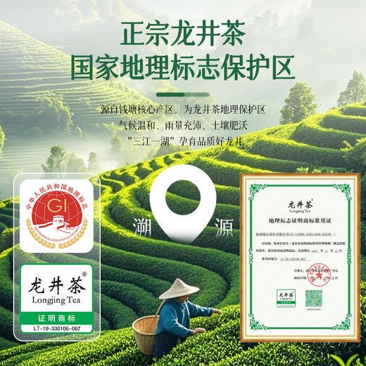 茶马世家丨品味春光 明前特级龙井 绿茶 礼盒装200g（100g*2罐） 商品图3