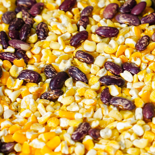 大碴粥 500g*3 商品图3