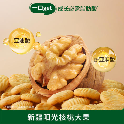 【六重营养核桃醇香】碧欧奇婴幼儿山药核桃饼干64g 商品图4