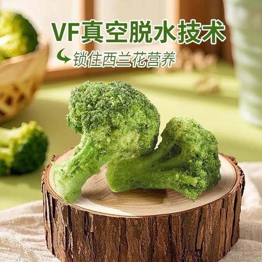 【1件起全国包邮】西兰花脆椒盐味即食蔬菜干（45g*2袋） 商品图3
