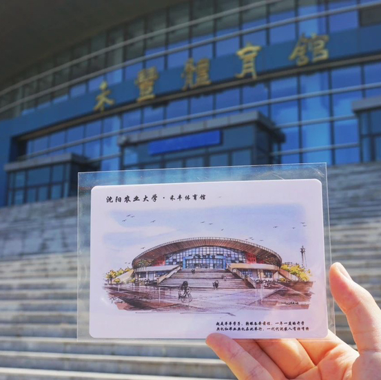 沈阳农业大学手绘明信片 文创明信片