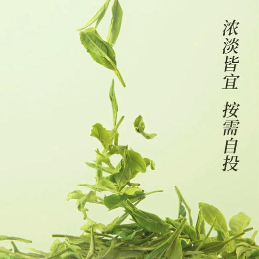 【三袋送盖碗】CHALI 鸭屎单丛 茉莉飘雪 栀香乌龙袋装原叶茶 商品图4