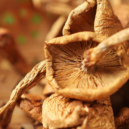 溢田滑子蘑 （瓶）90g 商品图3