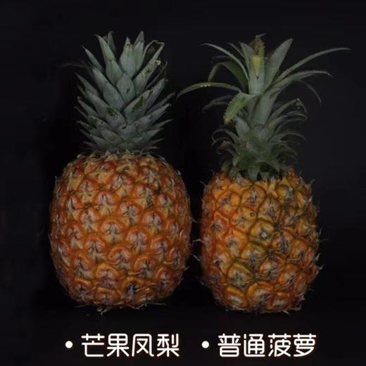 海南芒果凤梨  一果两味  拥有芒果香气的凤梨  无需挖眼浸泡  更香更甜更好吃 商品图5