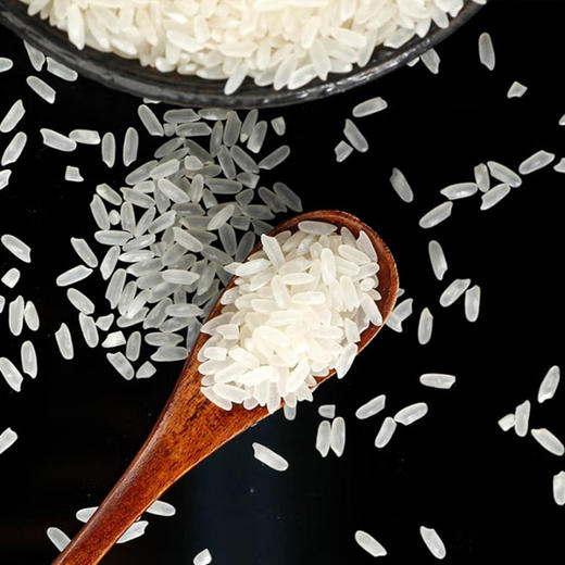 龙稻五常大米京享膳品5KG 商品图3