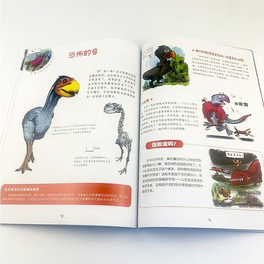 【独秀书香卡】走进奇妙的大自然：疯狂的恐龙和古怪的化石 7-12岁 青少年读物 儿童科普 商品图5