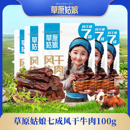 风干牛肉干100g*5袋 商品图1