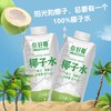 自然原味·你好椰椰子水 2小时灌装 不添加只有椰子水 商品缩略图0