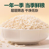 北纯 糯米5斤/袋（五谷杂粮米 黏米 端午粽子米 江米 粥米搭档） /粮油调味 /杂粮 /谷米类 商品缩略图4