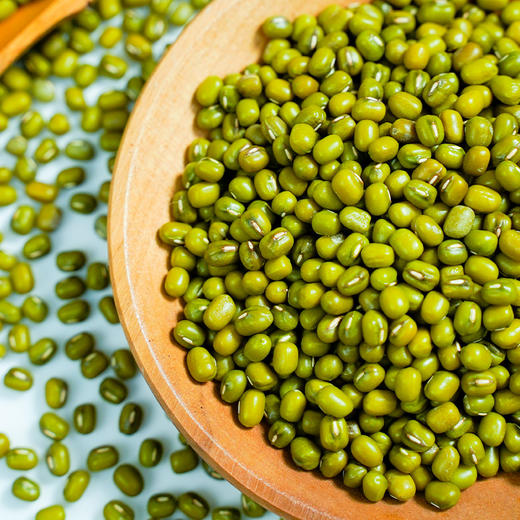 溢田黑土优品东北绿豆 500g*3 商品图2
