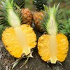 海南芒果凤梨  一果两味  拥有芒果香气的凤梨  无需挖眼浸泡  更香更甜更好吃 商品缩略图3