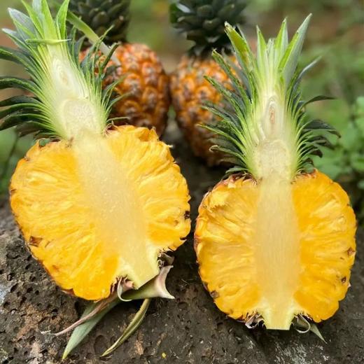 海南芒果凤梨  一果两味  拥有芒果香气的凤梨  无需挖眼浸泡  更香更甜更好吃 商品图3