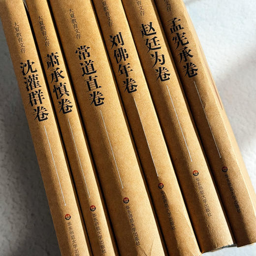 大夏教育文存 全套11卷 中国教育研究经典文集 精装 商品图3