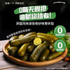 俄式酸黄瓜俄罗斯风味0脂酸乳青瓜德国汉堡沙拉酱下饭菜腌制泡菜 商品缩略图2