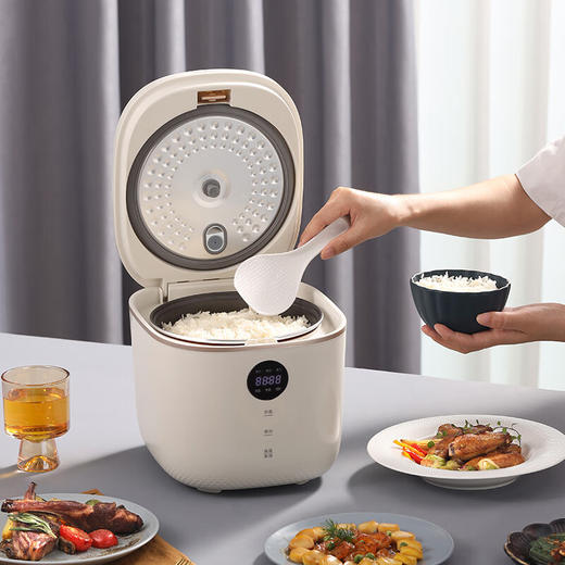 大宇 智能电饭煲DYFB-503L【JKYGH51 3.0】 商品图1