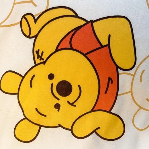 迪士尼快乐维尼磨毛亲肤四件套 商品图5