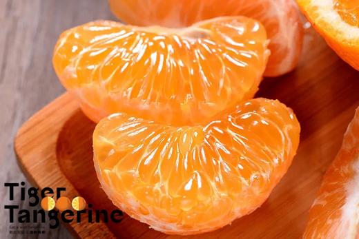 【云南高原虎柑】野得生猛·甜得纯粹‼  一口爆汁，而且纯甜，太好吃啦，一口吃尽柑、桔绝妙口感的神仙水果~ 商品图5