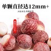 在菌屋 肇庆大颗粒芡实800g/罐 12mm以上饱满大果 皮棕红肉雪白 口感粉糯清甜 商品缩略图2