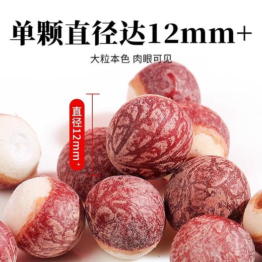 在菌屋 肇庆大颗粒芡实800g/罐 12mm以上饱满大果 皮棕红肉雪白 口感粉糯清甜 商品图2