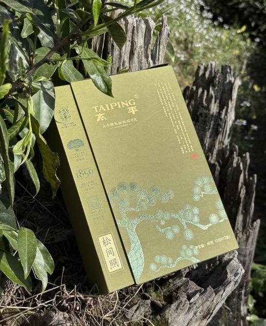 【一级松间照太平猴魁60g】匠心传承 手工捏尖 商品图5