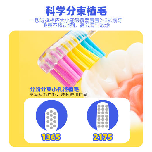 【优牙合】优𬌗儿童牙刷 商品图7