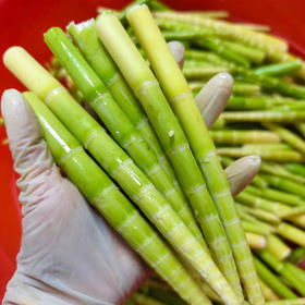 茅箭区莫家沟新鲜脆嫩竹笋春笋真空包装 500g/袋