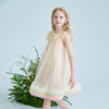 mettekids儿童连衣裙2025夏季新款女童礼服中大童网纱气质公主裙 商品缩略图3
