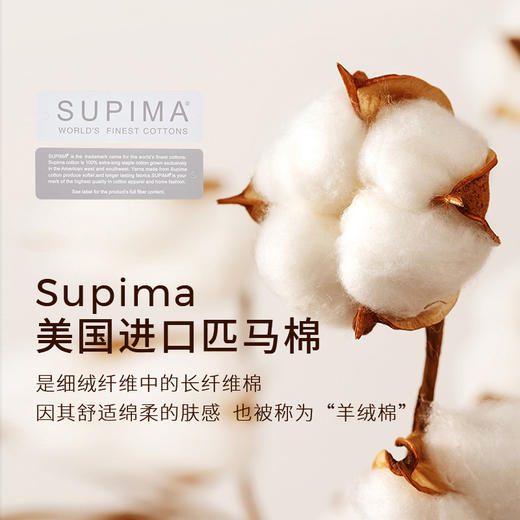 【商场同款】麦檬夏三醋酸针梭拼接连衣裙5F4192331 商品图4