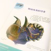 【独秀书香卡】走进奇妙的大自然：疯狂的恐龙和古怪的化石 7-12岁 青少年读物 儿童科普 商品缩略图4