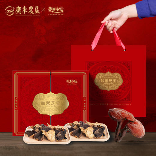 【自营】25年灵味小仙 如意芝宝 1098型 广东农垦灵芝 商品图0