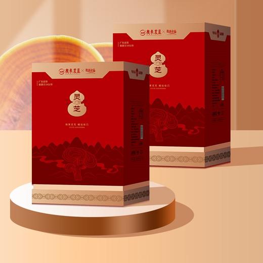 【自营】25年灵味小仙 金边灵芝 998型 广东农垦灵芝 商品图0