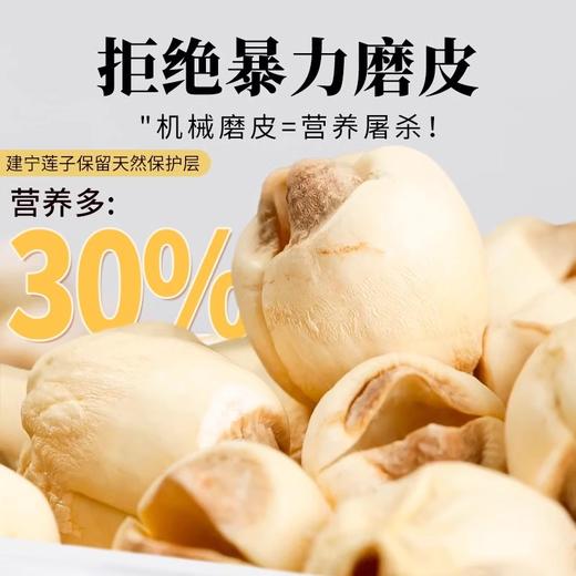 在菌屋 正宗建宁莲子250g/400g 手工去芯 颗颗饱满 肉质细腻嫩滑 久煮不散 商品图1