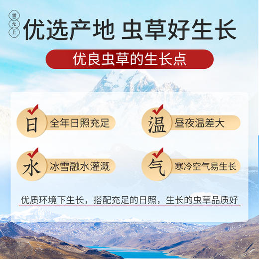 雷允上冻干冬虫夏草10g/盒（-32） 商品图2