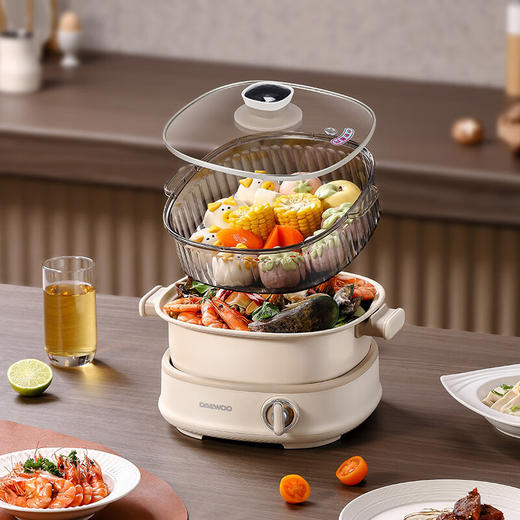 大宇 多功能电火锅DYHG-8530【JKYGH51 3.0】 商品图1