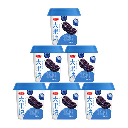 【25年12月积分兑换-低温】大果块桑葚+蓝莓风味酪乳260g*6 商品图0