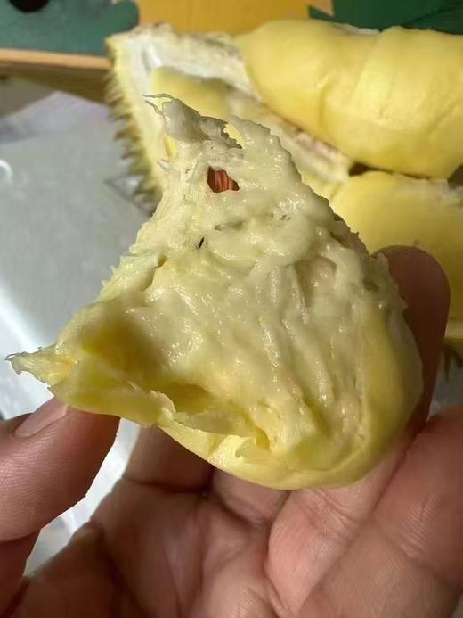 【金凤树熟金枕榴莲】树上熟  皮薄  果肉饱满绵密  榴莲味浓郁  果型好  回味无穷！ 商品图4