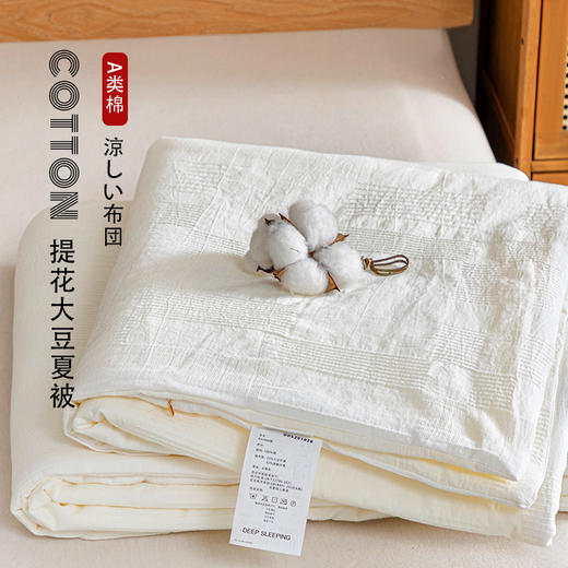 【A类全棉提花大豆夏被】全棉A类提花大豆夏被全棉空调被夏凉被子纯色提花 商品图0