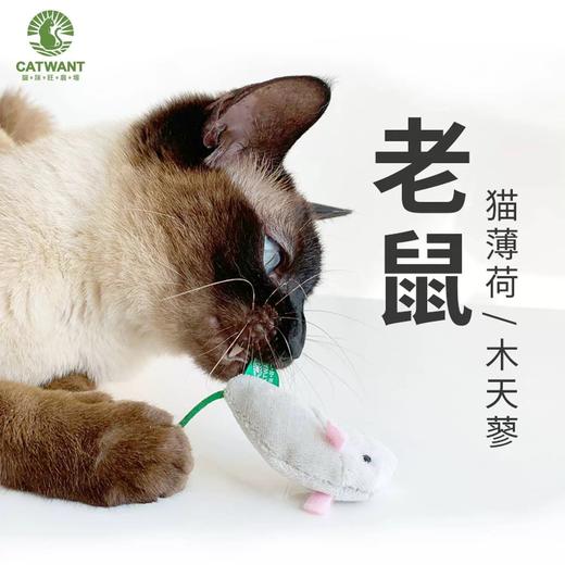 CATWANT猫玩具 商品图2