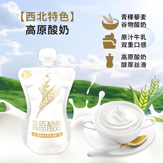 【亚欧超市】庄园青稞藜麦高原酸奶135g/袋 商品图0