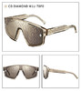 Dior迪奥双层镜片太阳镜。茶色。灰黑色。自己备注颜色。 商品缩略图2