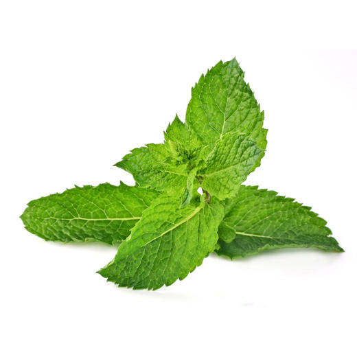 有机薄荷 Organic Mint 20g 商品图0