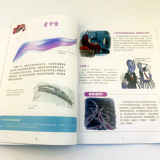 【独秀书香卡】走进奇妙的大自然：疯狂的恐龙和古怪的化石 7-12岁 青少年读物 儿童科普 商品图3
