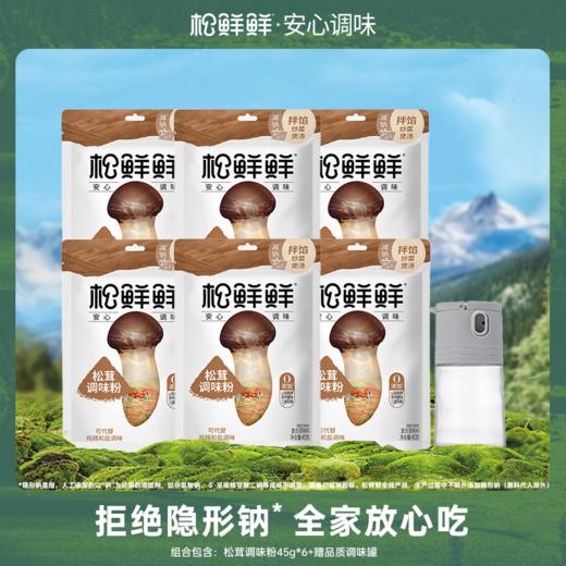 【松鲜鲜松茸调味粉】拒绝隐形钠 只有自然健康鲜 商品图0
